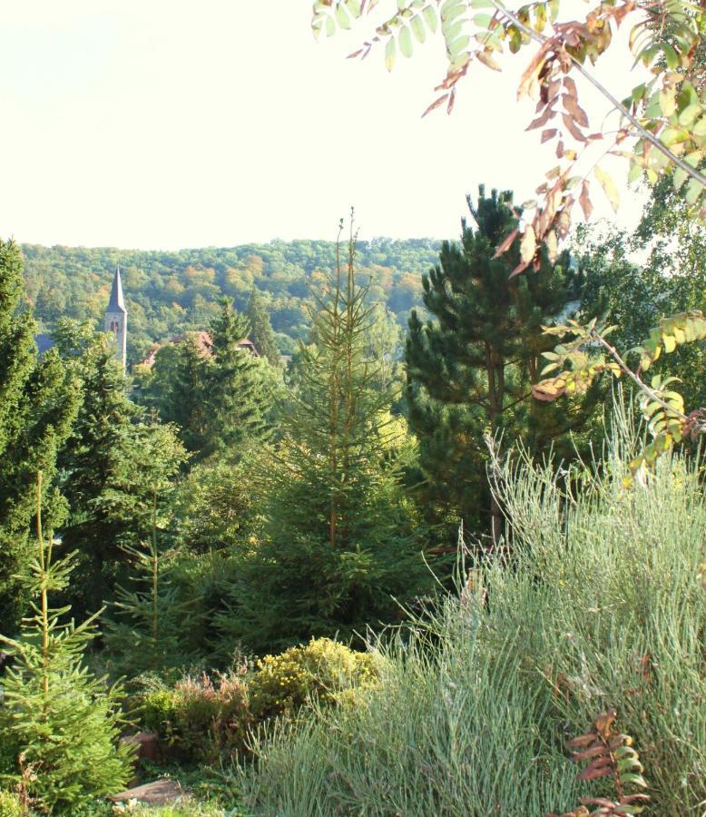 Ferienhaus Harzblick Guntersberge Luaran gambar