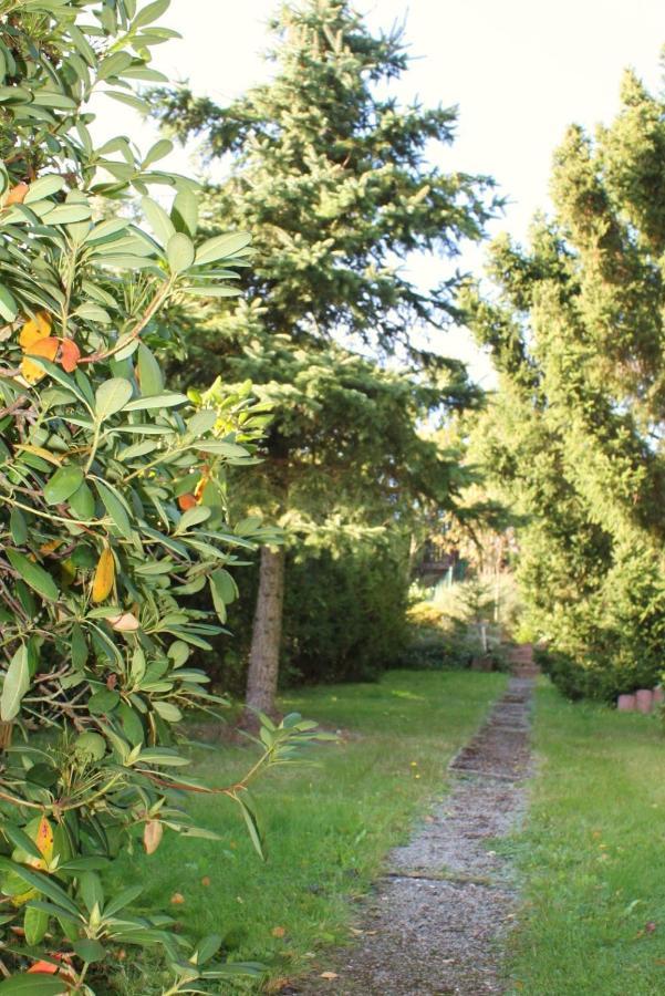 Ferienhaus Harzblick Guntersberge Luaran gambar