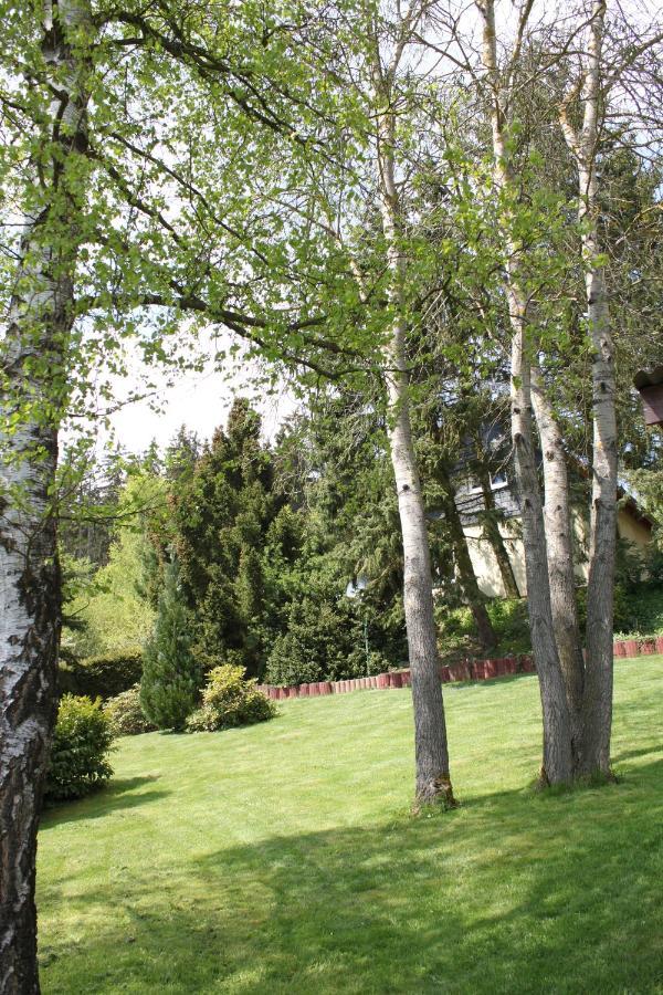 Ferienhaus Harzblick Guntersberge Luaran gambar